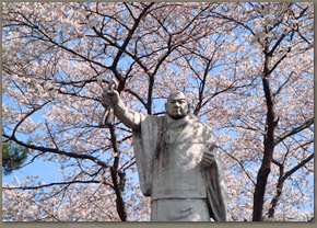 池上本門寺の桜の様子（07年3月30日撮影）