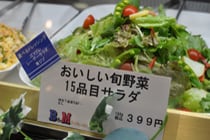 おいしい旬野菜　15品目サラダ