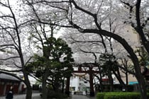 「蒲田八幡神社」