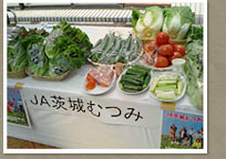 交流会の中での一コマ採れたての野菜が並んでいました。