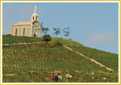 ボジョレーヌーヴォー