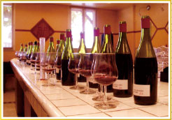 ボジョレーヌーヴォー